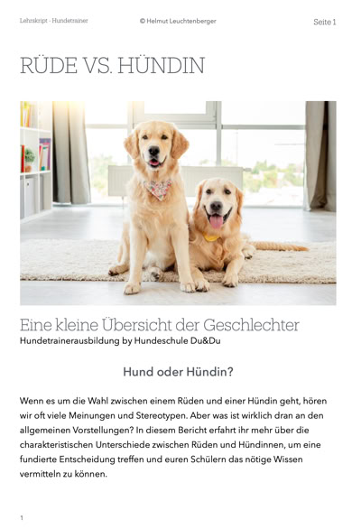 Lehrmaterialien zum Download – ideal zur Vorbereitung und Vertiefung, klar strukturiert und praxisnah. 