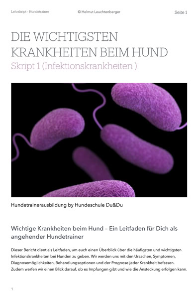 Lehrmaterialien zum Download – ideal zur Vorbereitung und Vertiefung, klar strukturiert und praxisnah. 