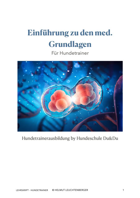 Lehrmaterialien zum Download – ideal zur Vorbereitung und Vertiefung, klar strukturiert und praxisnah. 